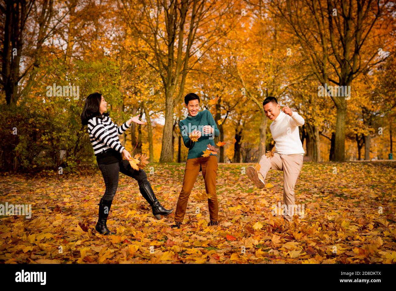 Three friends playing leaves in hi-res stock photography and images - Alamy