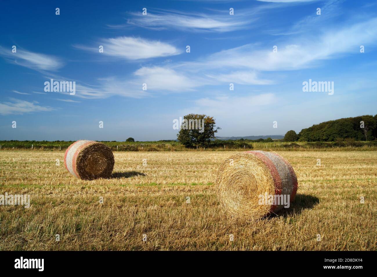 UK,South Yorkshire,Barnsley,Drum Hay Bales in Field near Silkstone Common Stock Photo