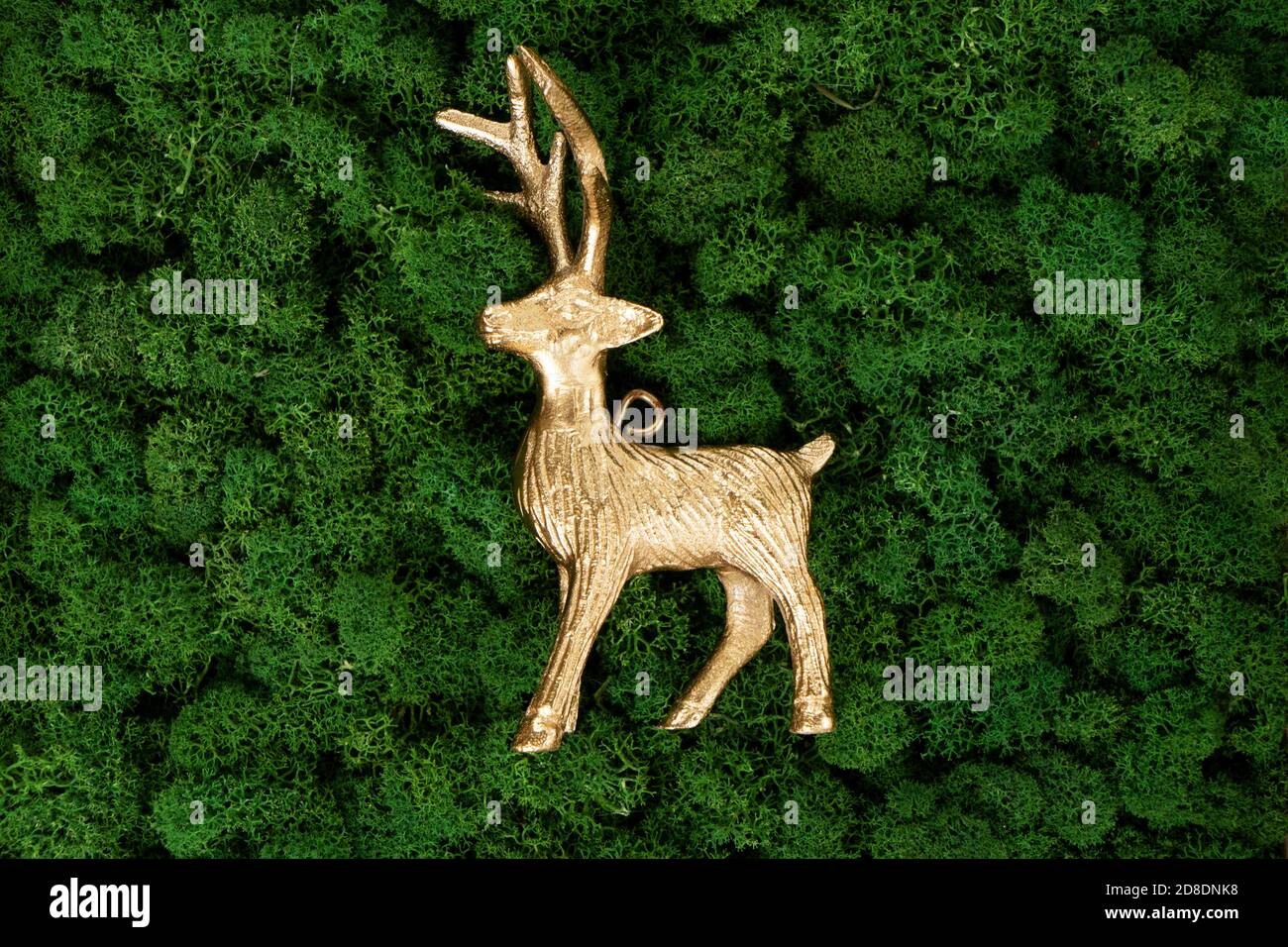 Deer moss hi-res stock photography and images - Alamy