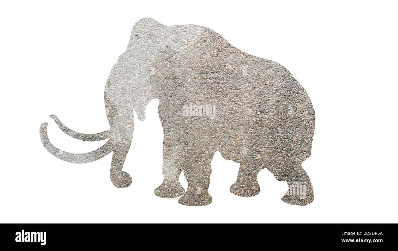 elephant silhouette with stone texture isolated on white background Stock Photo