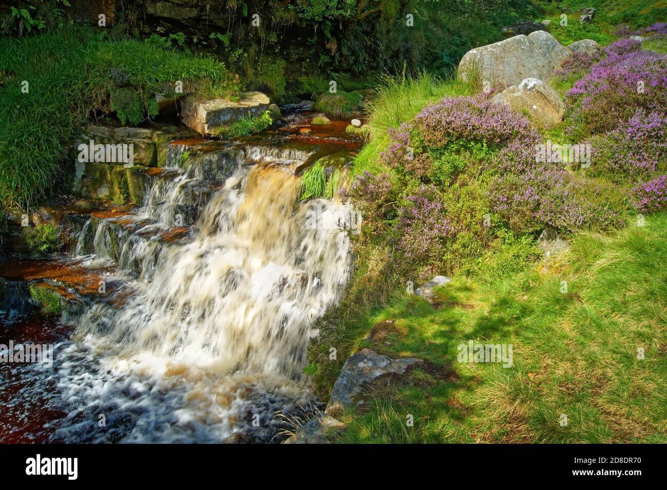 UK,Derbyshire,Peak District,Grindsbrook Clough Waterfalls and Kinder Scout Stock Photo