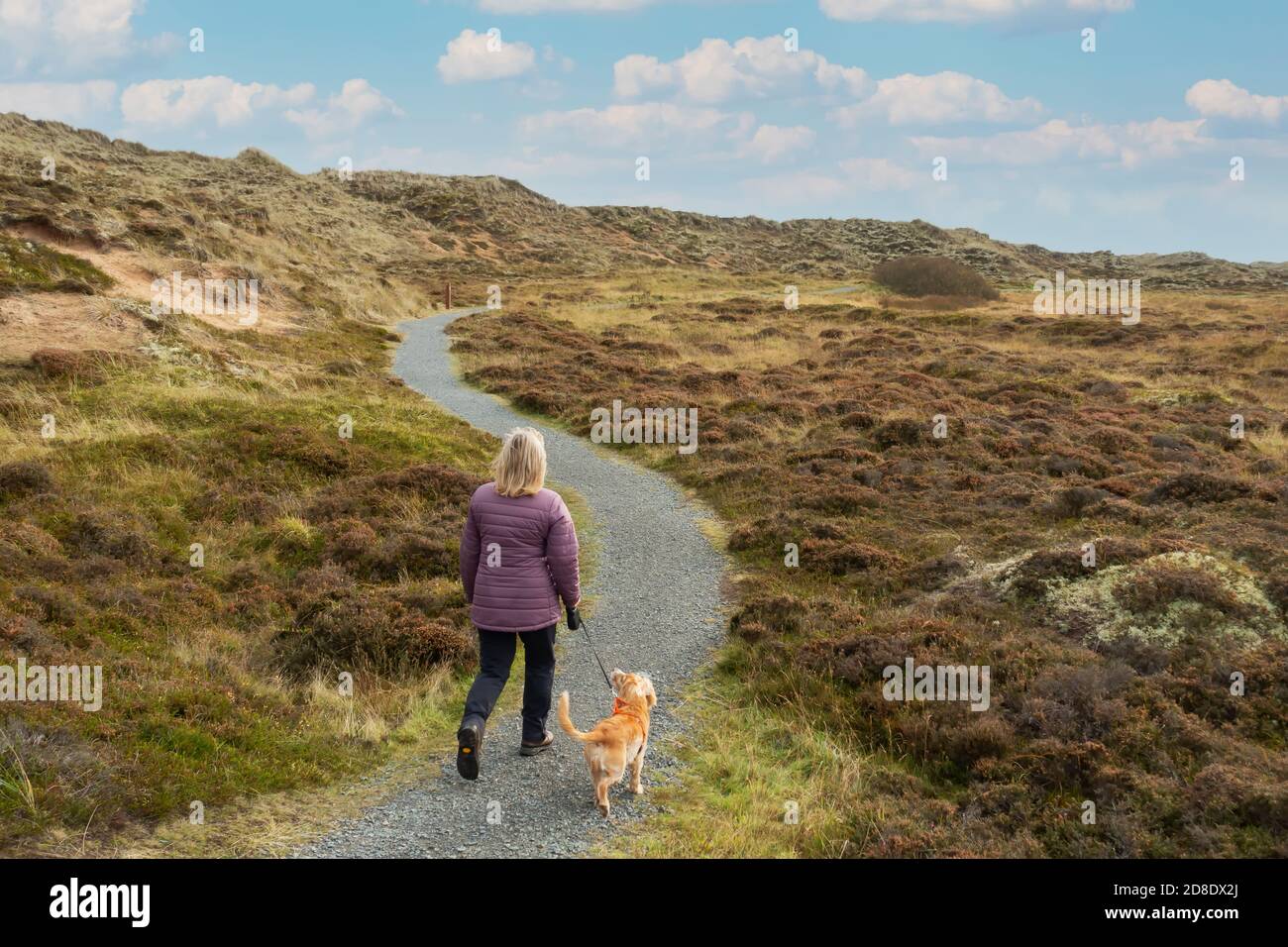 A dog walker on the path in the Forvie Sands National Nature Reserve near Collieston, Aberdeenshire, Scotland, UK Stock Photo