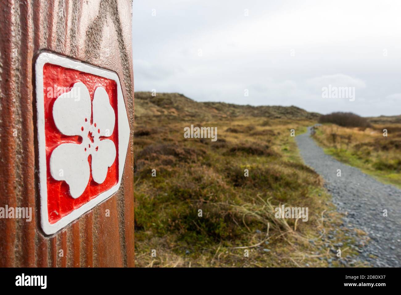 Pathway route sign within Forvie Sands National Nature Reserve near Collieston, Aberdeenshire, Scotland, UK Stock Photo