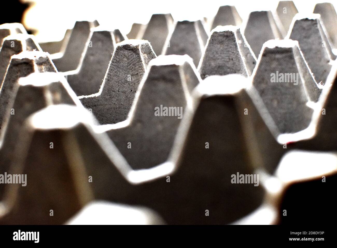 Background texture, close up, blur, cardboard packaging for eggs, Empty tray of eggs isolated Stock Photo