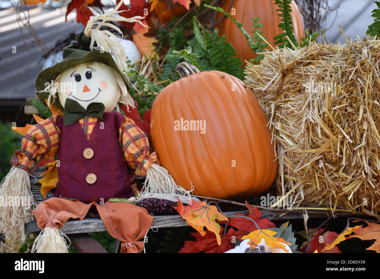 Decorative Wall Decor  SCARECROW IN FIELD OF PUMPKINS W// CROWS