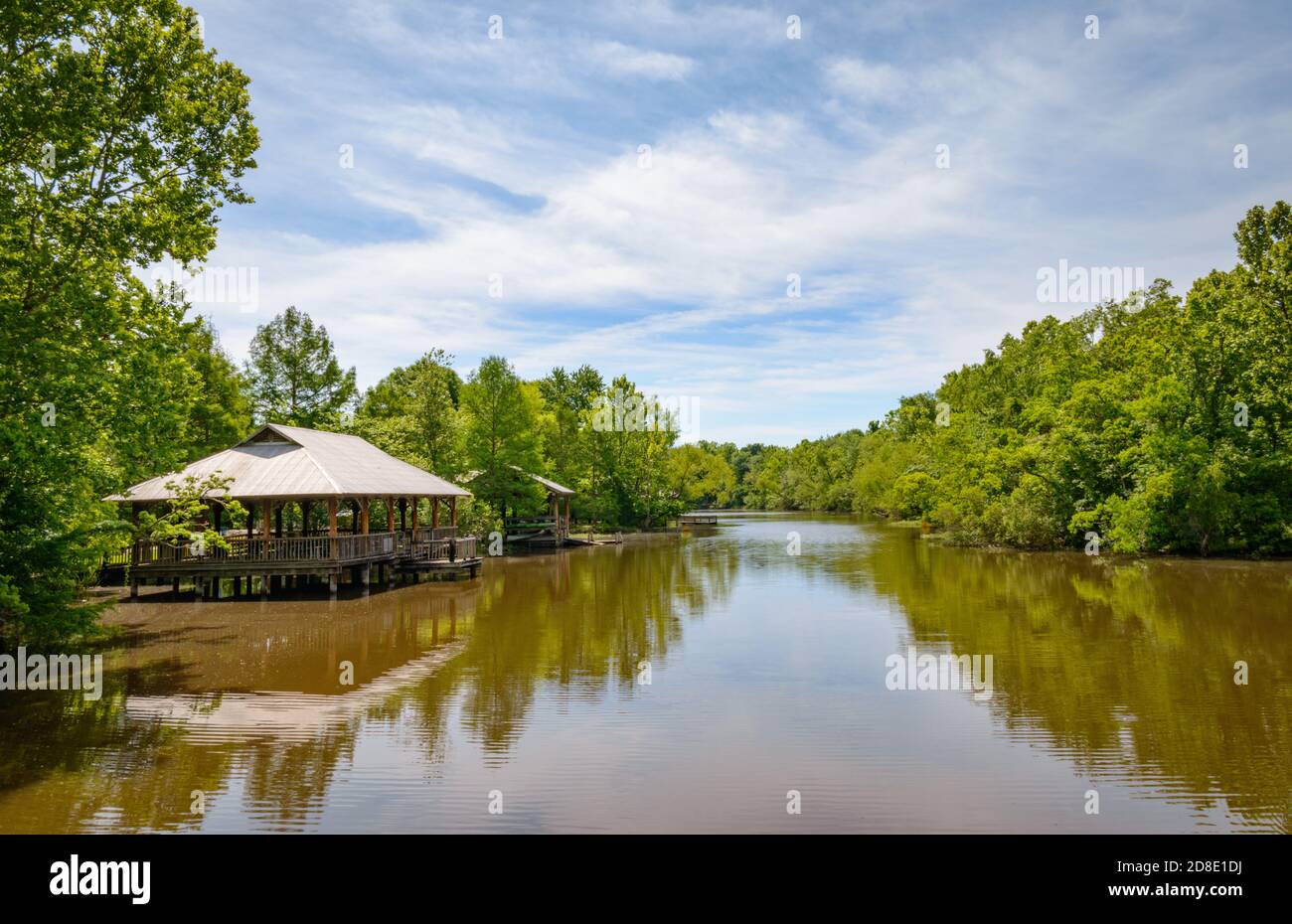 Lake Fausse Pointe State Park Stock Photo - Alamy