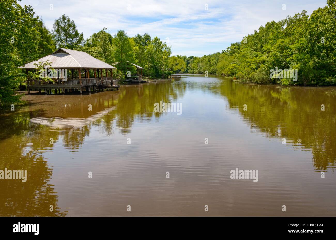 Louisiana's Hidden Gem: Lake Fausse Pointe State Park, Where Nature Takes Center Stage