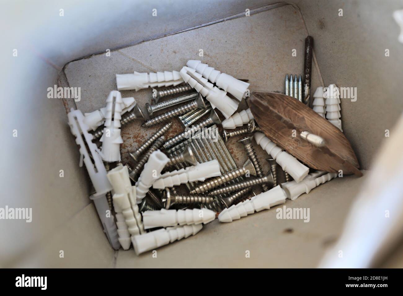 Selftapping screw in a box Stock Photo Alamy