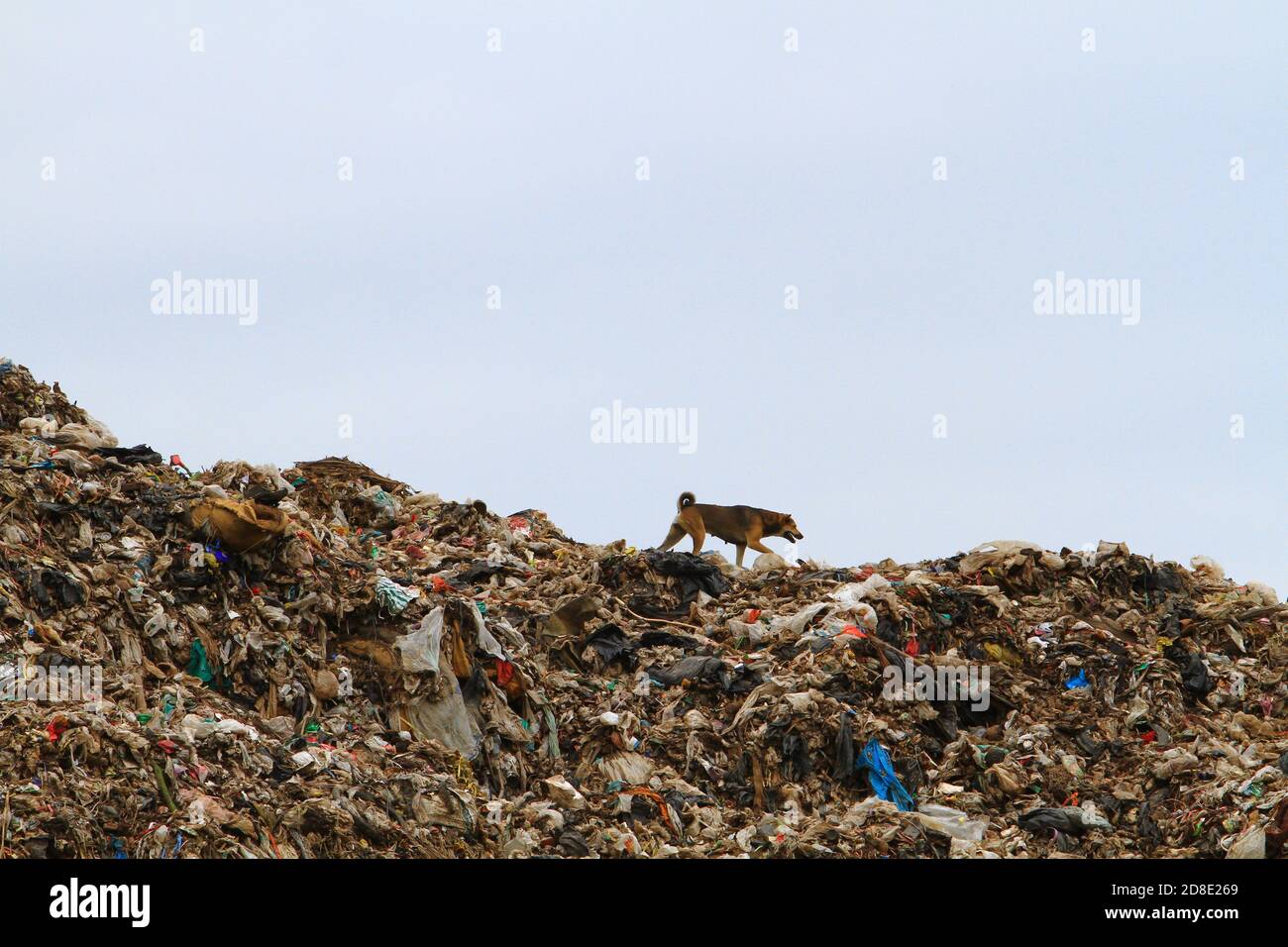 Disposal of plastic waste world problems, Large Garbage Mountain in