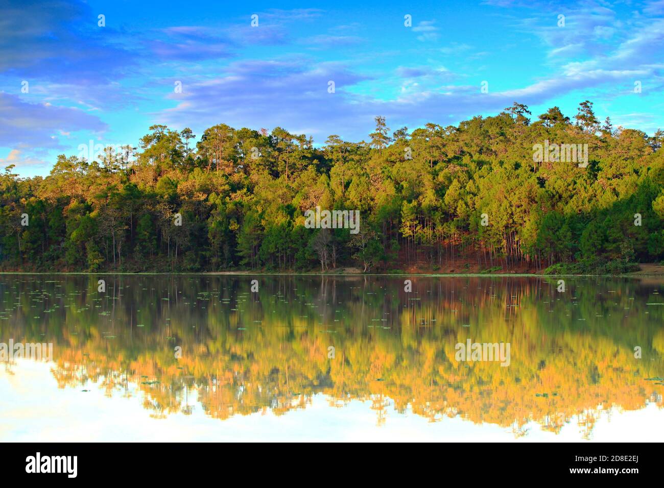 The integrity of the forest and nature of Huai Pang tong Reservoir at