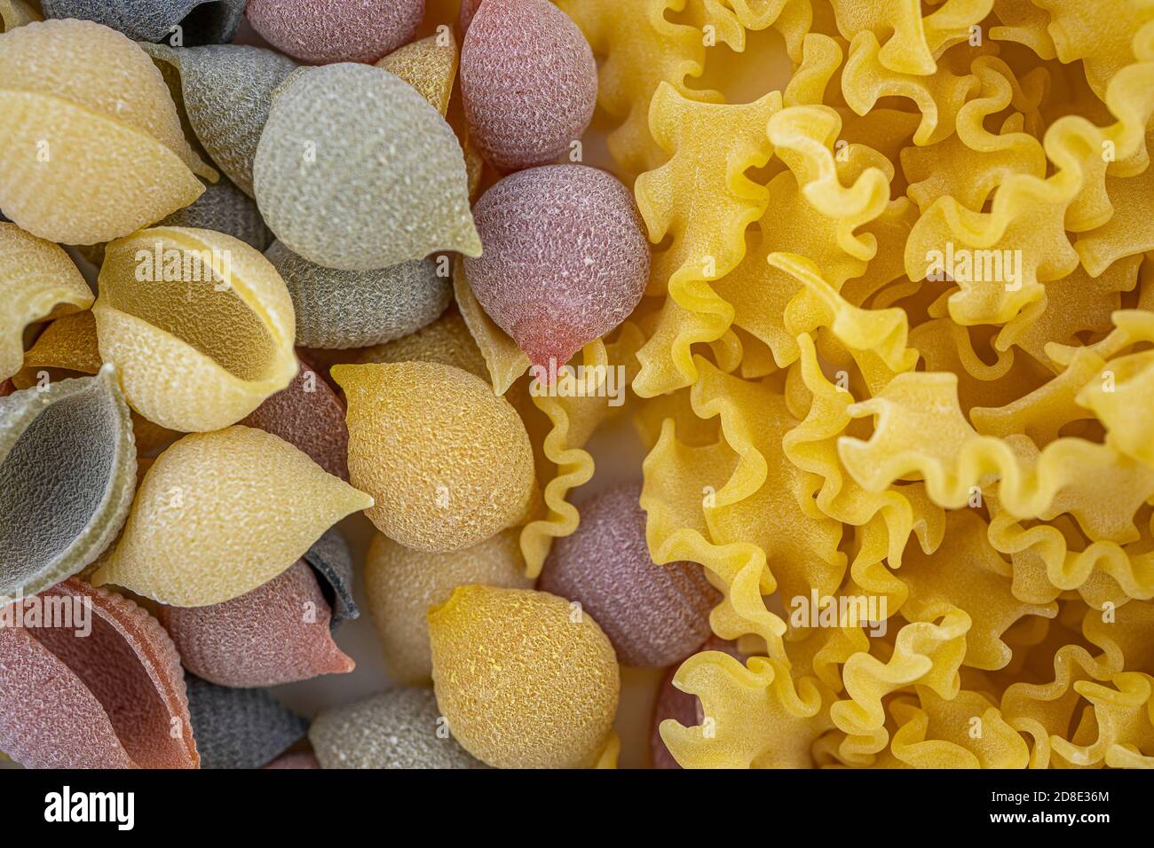Colored Italian pasta in the shaped of seashells with yellow, pink, and ...
