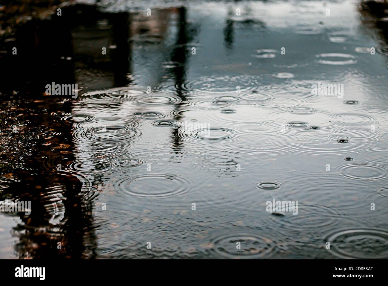 Raindrops fall into a puddle of water leaving small circular waves during a rain in bogota, colombia, october 26, 2020 Stock Photo