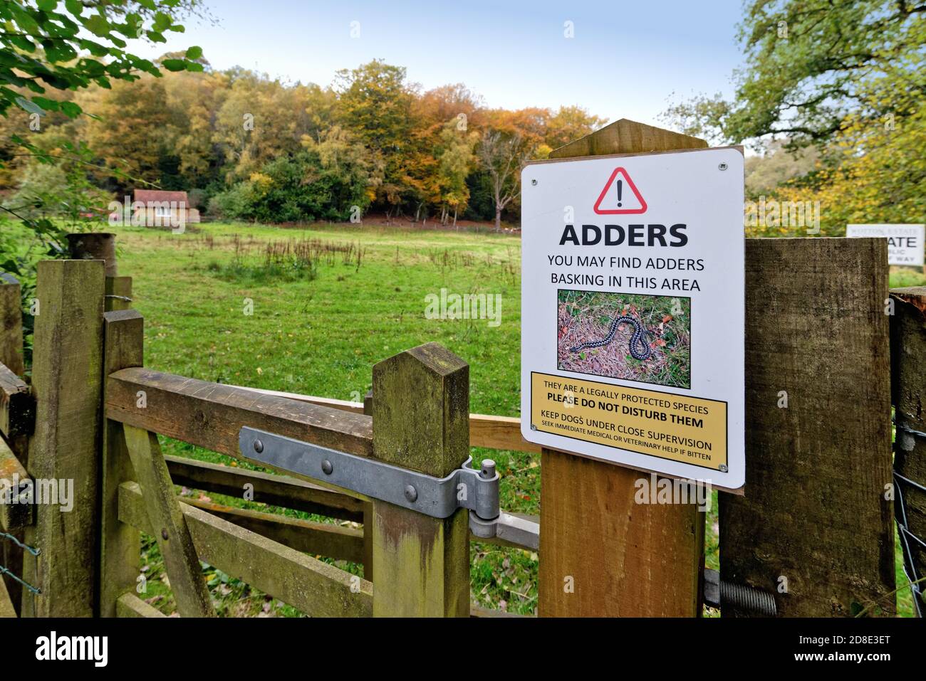 A sign on a gate warning people to be aware of Adders in the surrounding countryside, Friday Street Surrey Hills England UK Stock Photo