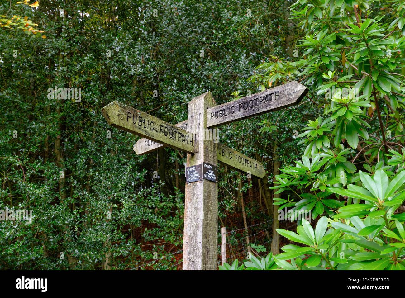 Close up of a wooden public footpath sign in the Surrey Hills at Friday Street Wotton England UK Stock Photo