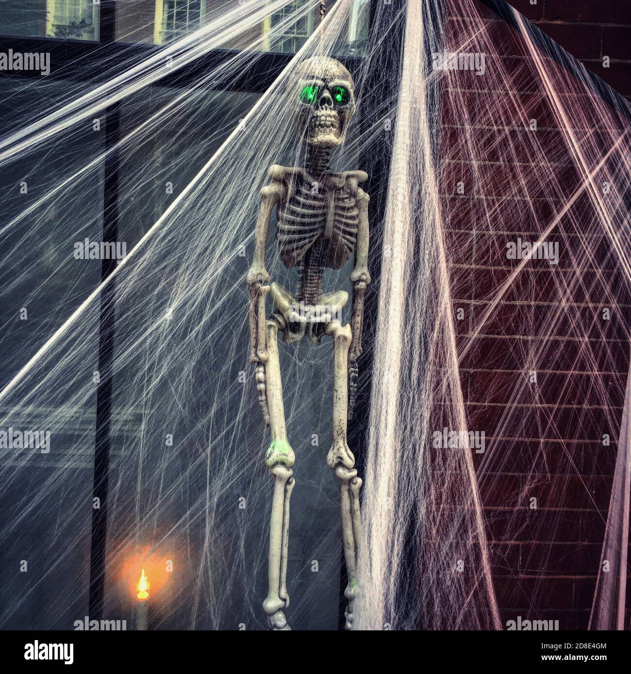 Skeleton and Cob Webs Halloween Decorations Stock Photo