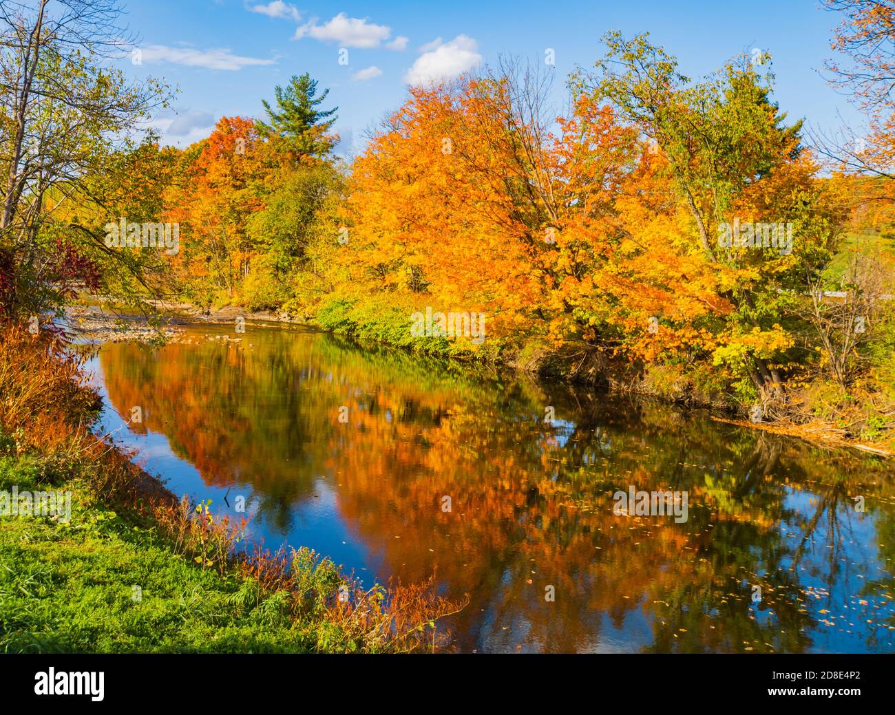 trees in beautiful fall colors reflected in quiet river stream Stock ...
