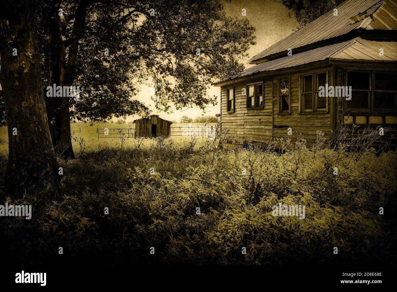 Side view of abandoned farm house with a rusted metal roof surrounded ...