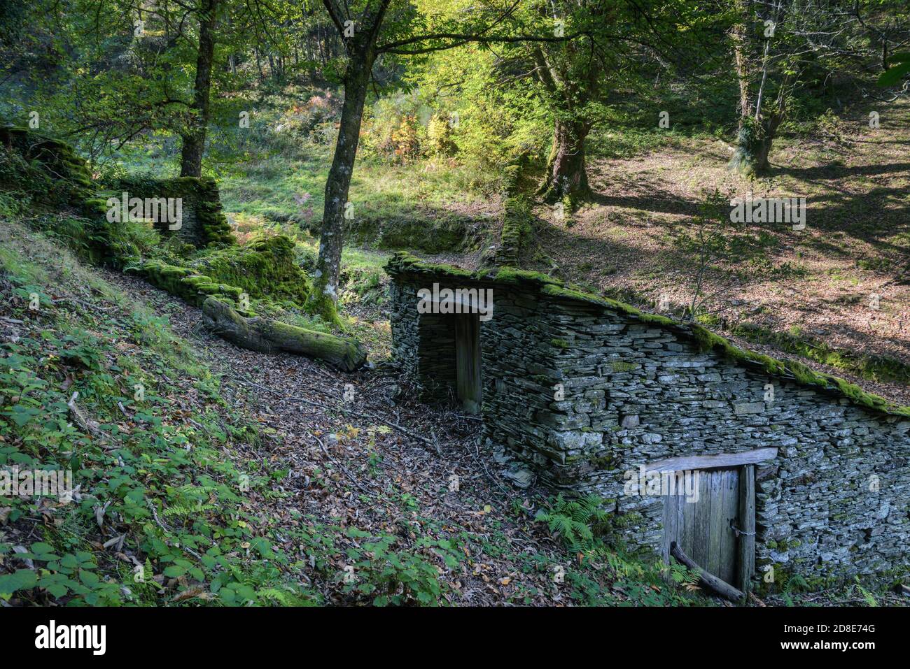 Old stone construction for storing chestnuts in a forest in Courel Mountain Range Stock Photo