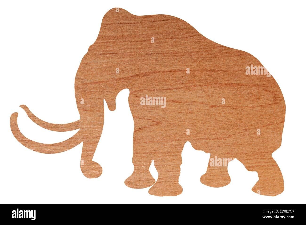 elephant silhouette with wood texture isolated on white background Stock Photo