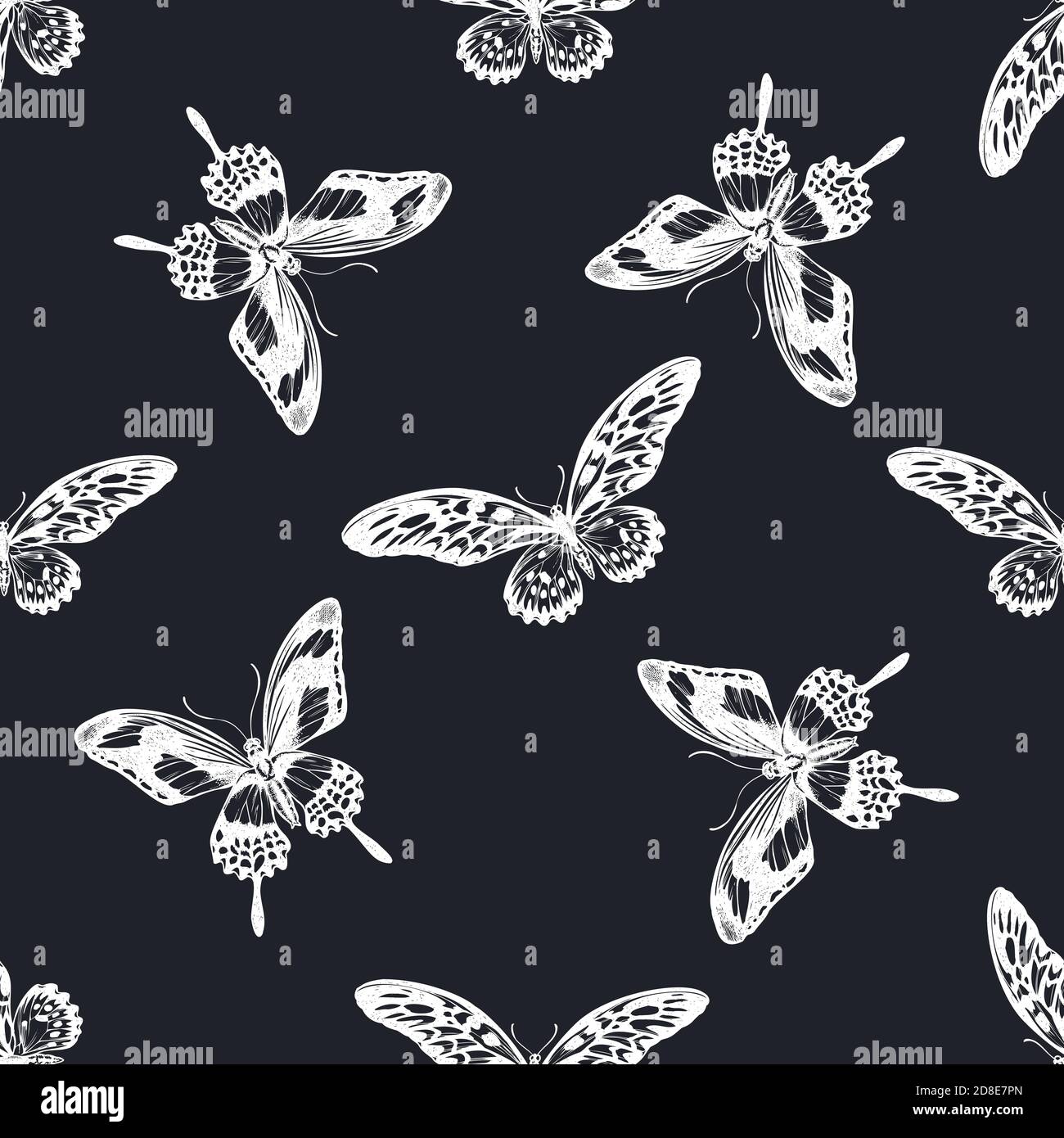 Seamless pattern with hand drawn chalk african giant swallowtail, papilio torquatus Stock Vector