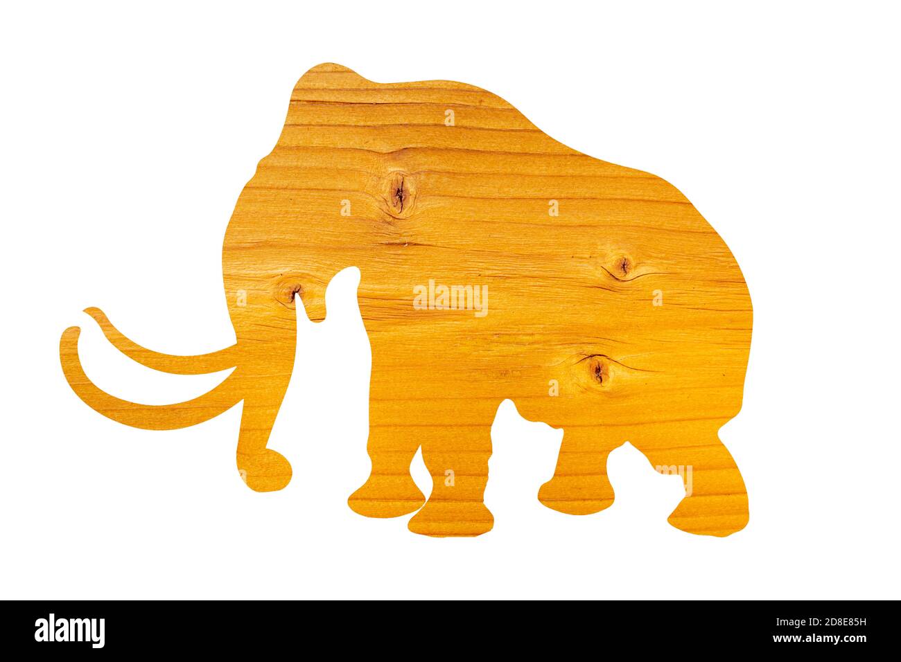 elephant silhouette with wood texture isolated on white background Stock Photo