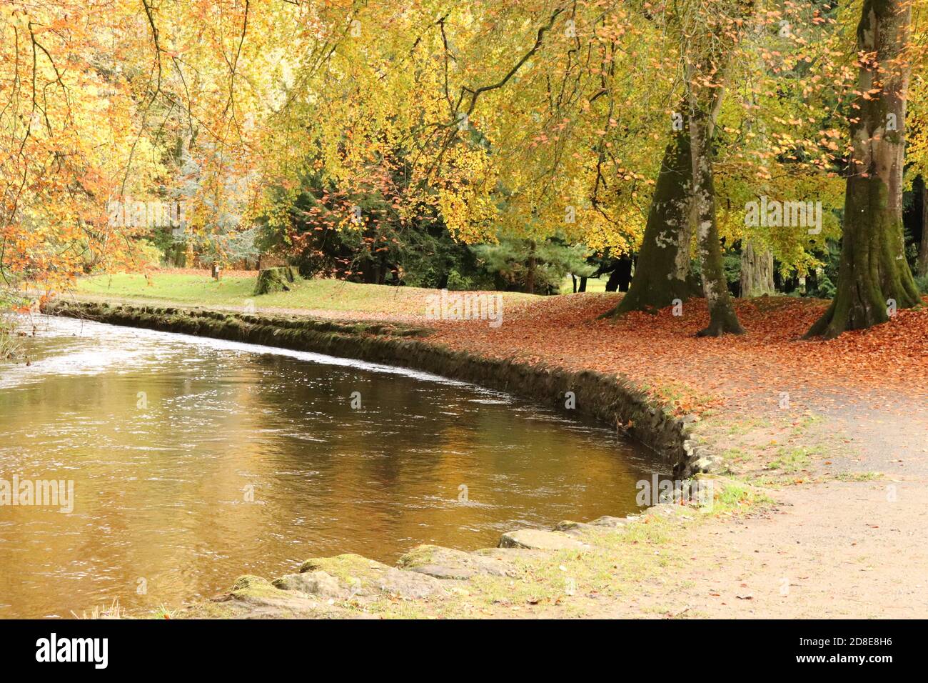 Autumn trees by river Stock Photo - Alamy