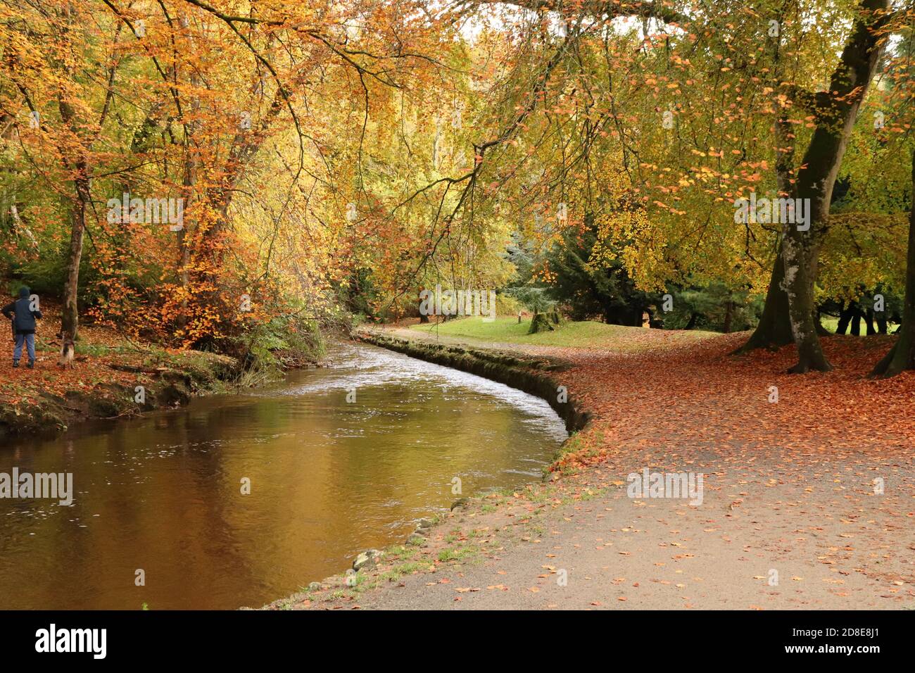 Autumn trees by river Stock Photo