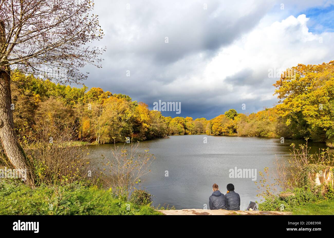 Peaceful lake Forest of Dean. Stock Photo