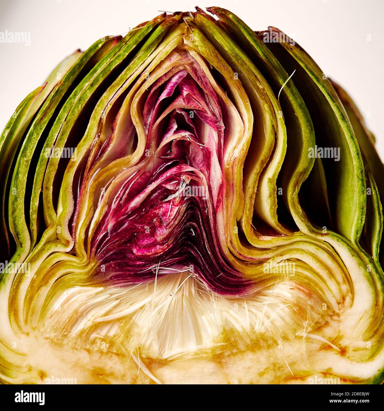 Artichoke Heart Half Stock Photo Alamy
