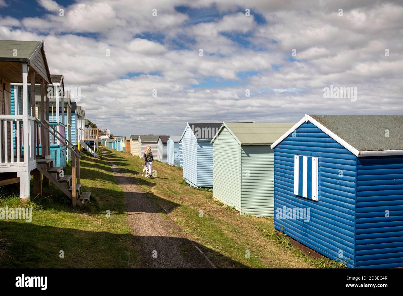 UK, Kent, Whitstable, Tankerton, dog walker between colourful beach