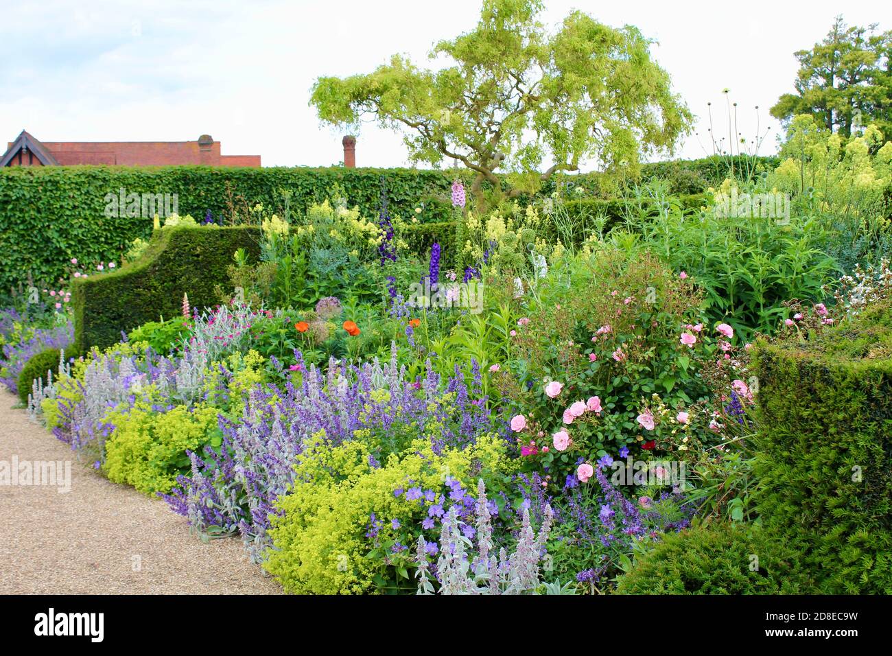 Border herbaceous trees hi-res stock photography and images - Alamy