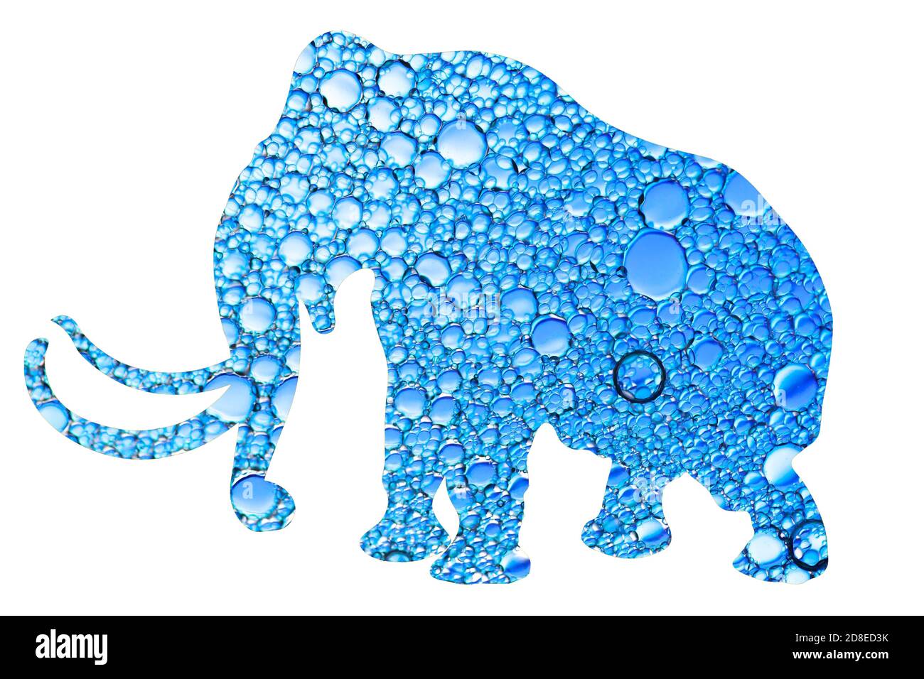 elephant silhouette with colored bubbles texture isolated on white background Stock Photo