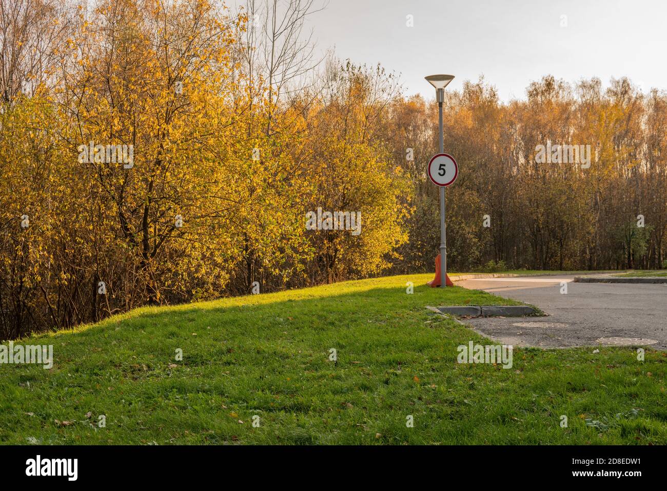 Road sign on the background of a yellow forest five in a red circle, autumn meadow, green grass bright sunlight asphalt road in the shade Stock Photo