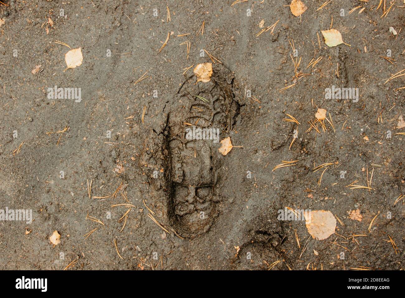Imprint of the shoe on mud with copy space. Footprints in mud. Rainy Weather Abstract background.Foot mark on the jungle trail.Dirty wet pedestrian Stock Photo