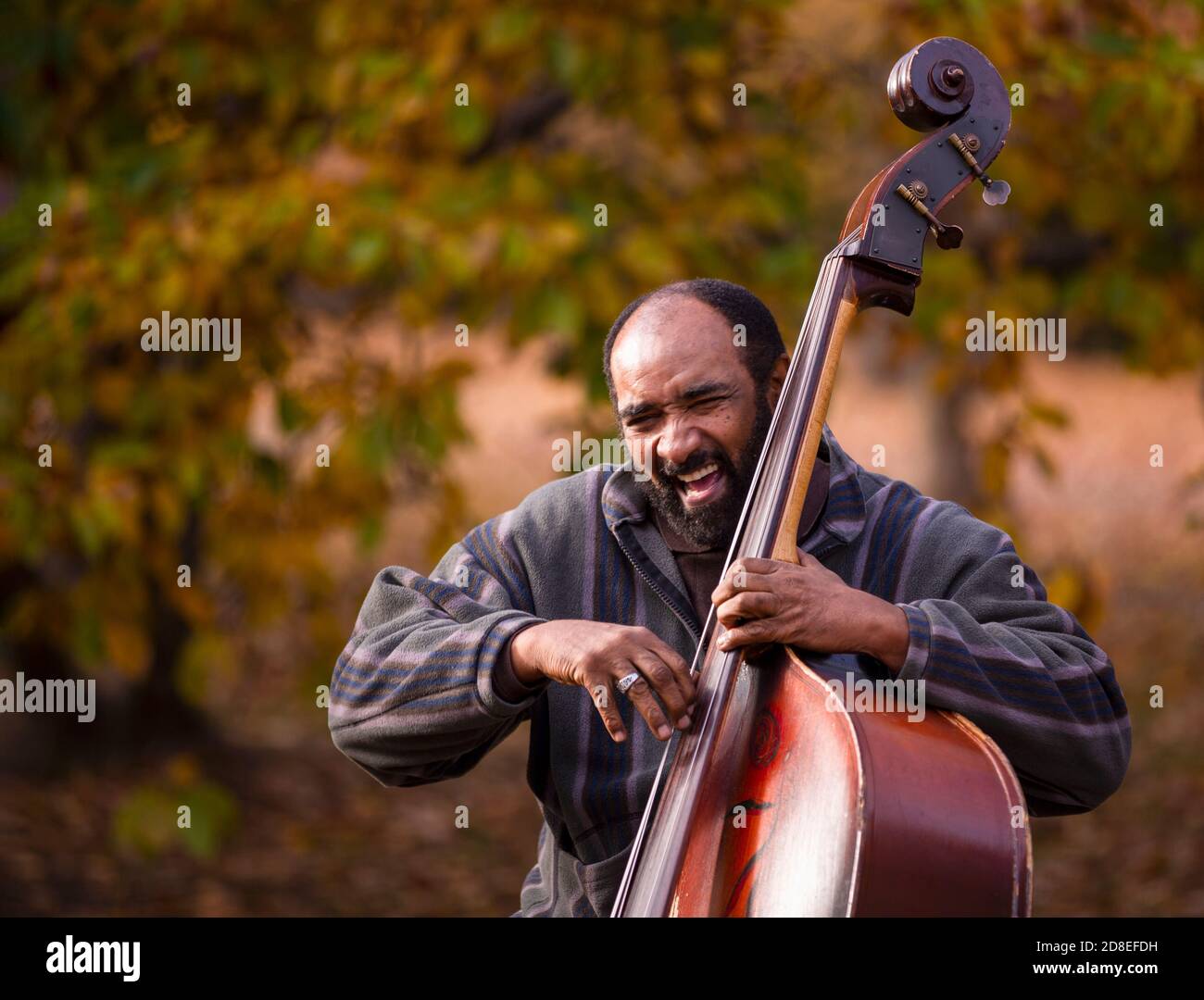 Jazz in the Park Stock Photo