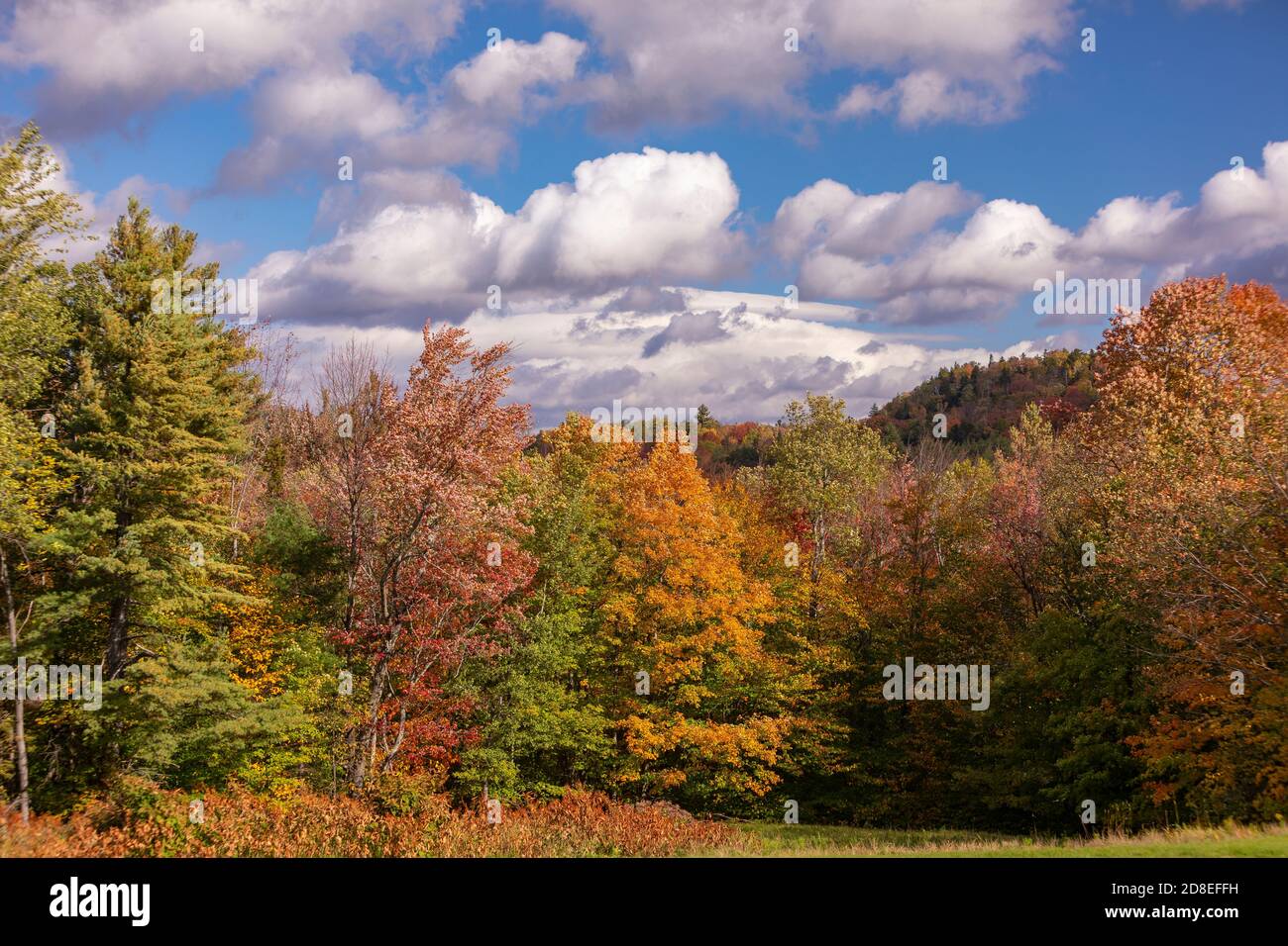 Warren Vt WARREN, VERMONT, USA - Autumn foliage in Mad River Valley, Green ...