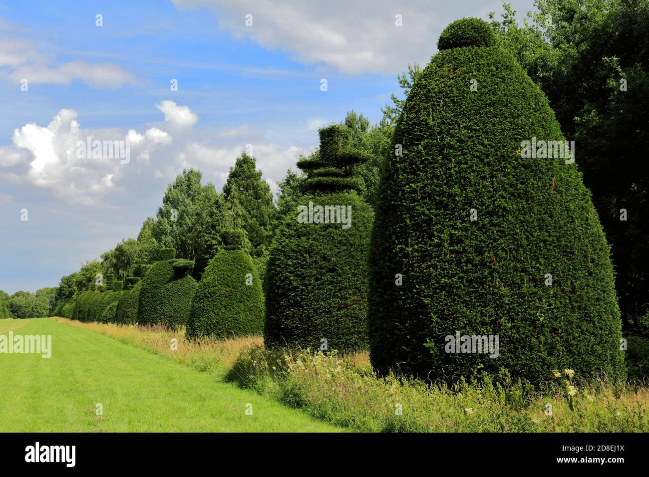 Rutland village tree uk hi-res stock photography and images - Alamy