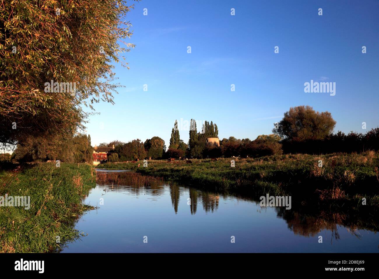 Autumn colours, river Nene Valley, near Castor village, Cambridgeshire, England; UK Stock Photo