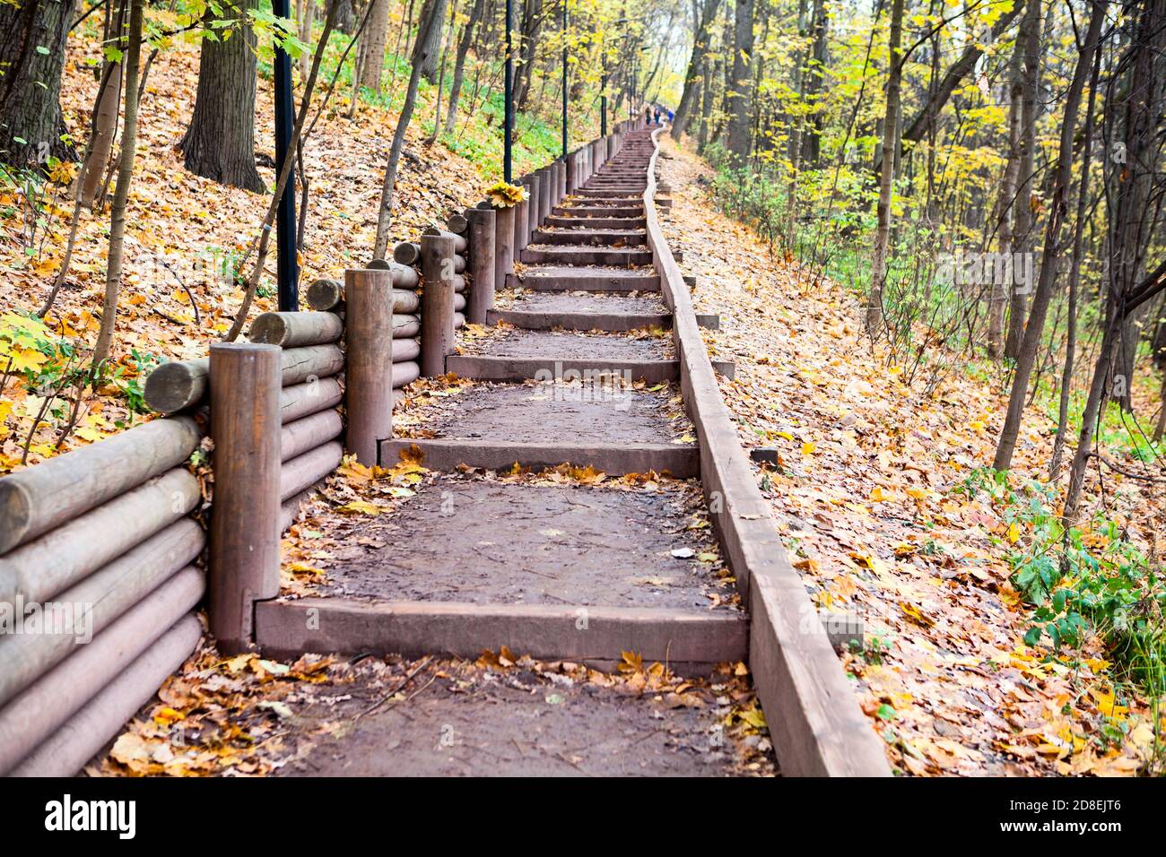 Wooden rails trail path in hi-res stock photography and images - Alamy