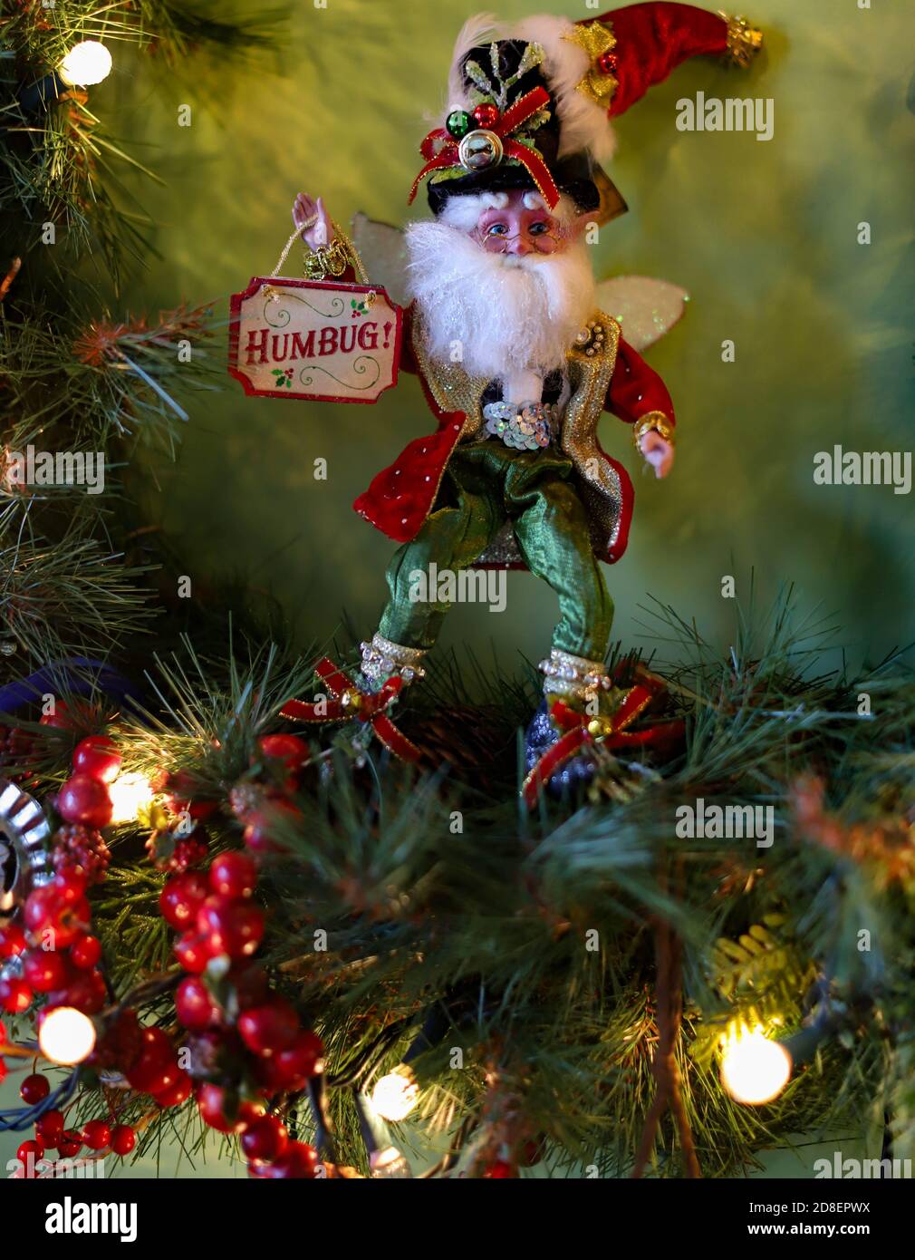 A festively dressed elf holding a Humbug sign with white beard denoting celebrating a tradition Stock Photo