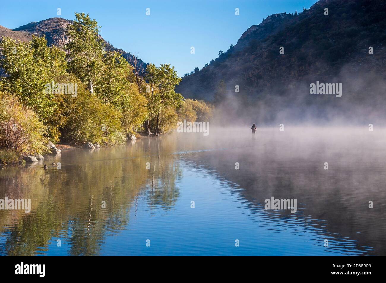 A man fishes in the early morning as steam blankets the water. Stock Photo