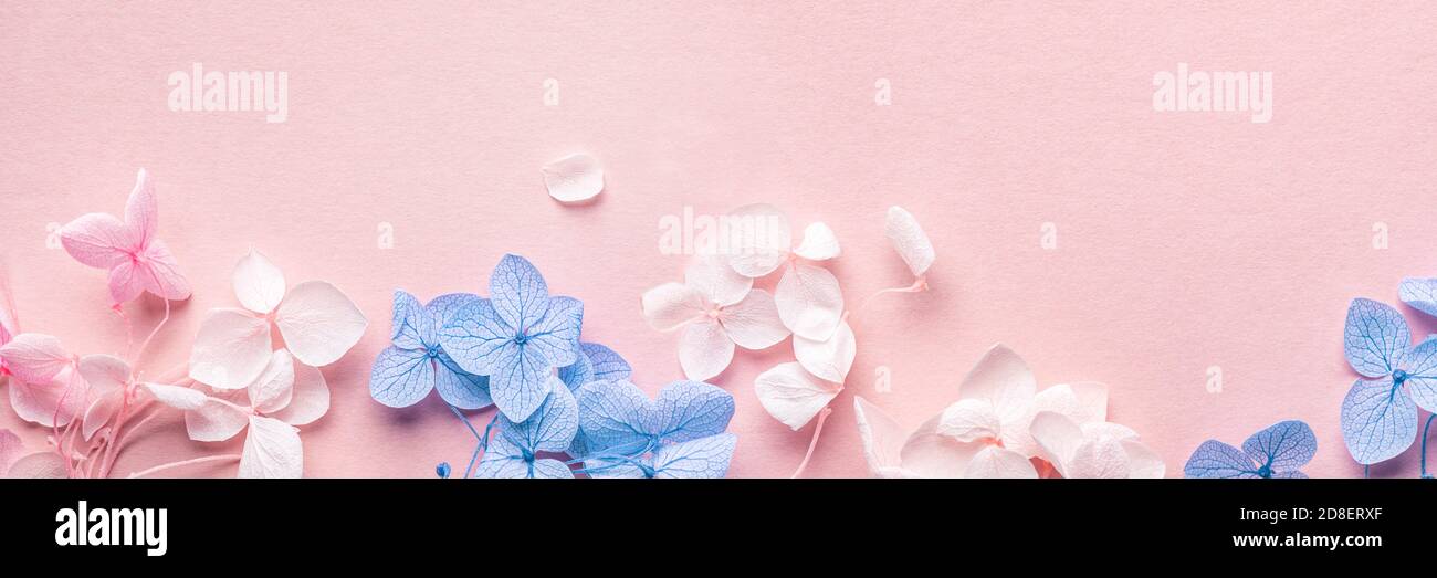 Biodegradable confetti from real dried flowers Stock Photo Alamy