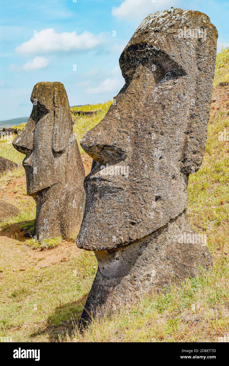 Moai sculptures at Rano Raraku on Easter Island, Chile Stock Photo