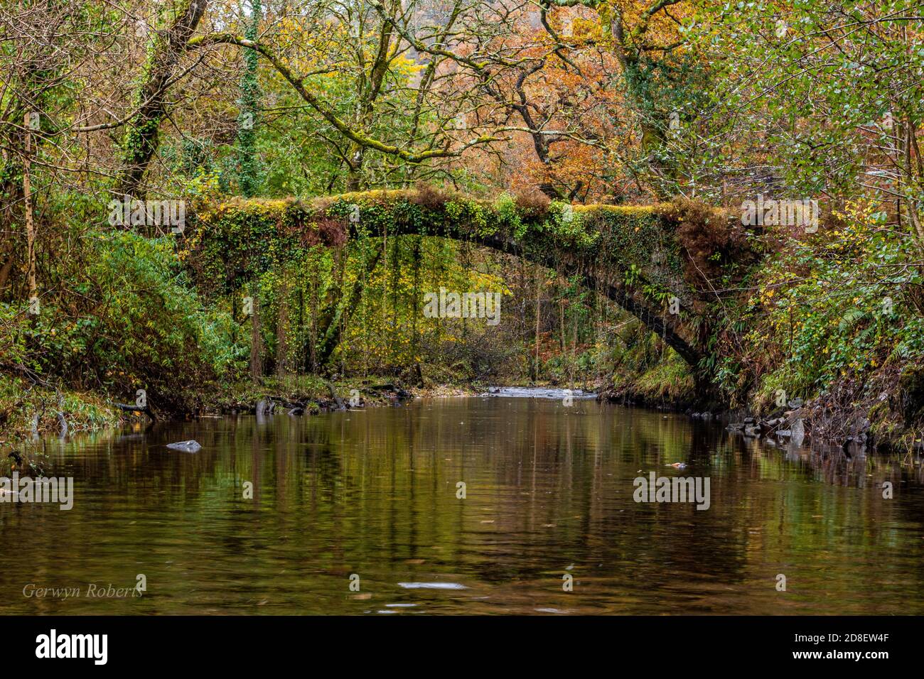 Autumn fairy tail, North Wales Stock Photo