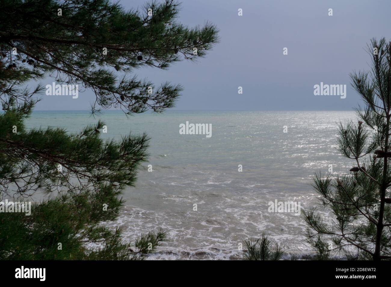 View of the stormy sea from the mountain through the pine branches Stock Photo