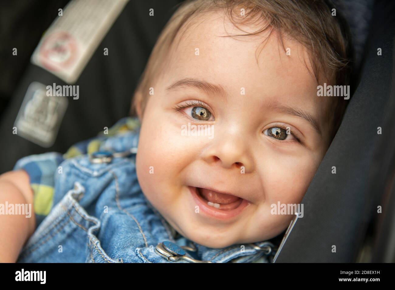 Cute 9 months old baby in car child seat Stock Photo Alamy