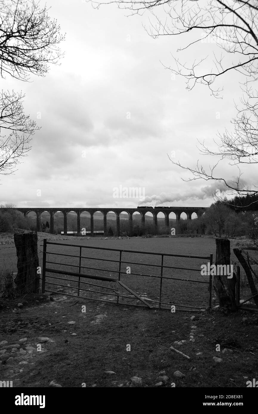 '44871' leads '45407' across Cynghordy Viaduct with a northbound train. Stock Photo