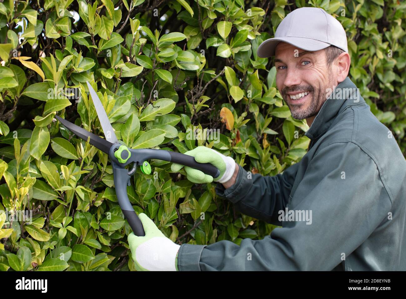 handsome young man trimming bushes with scissors in garden Stock Photo ...