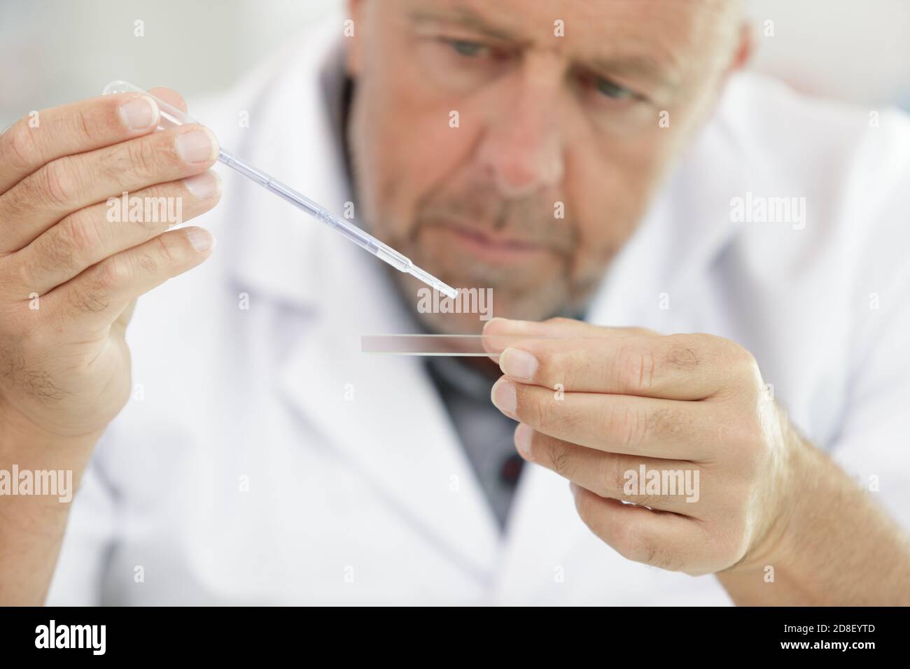 microbiology analyst working with pipette in laboratory Stock Photo Alamy