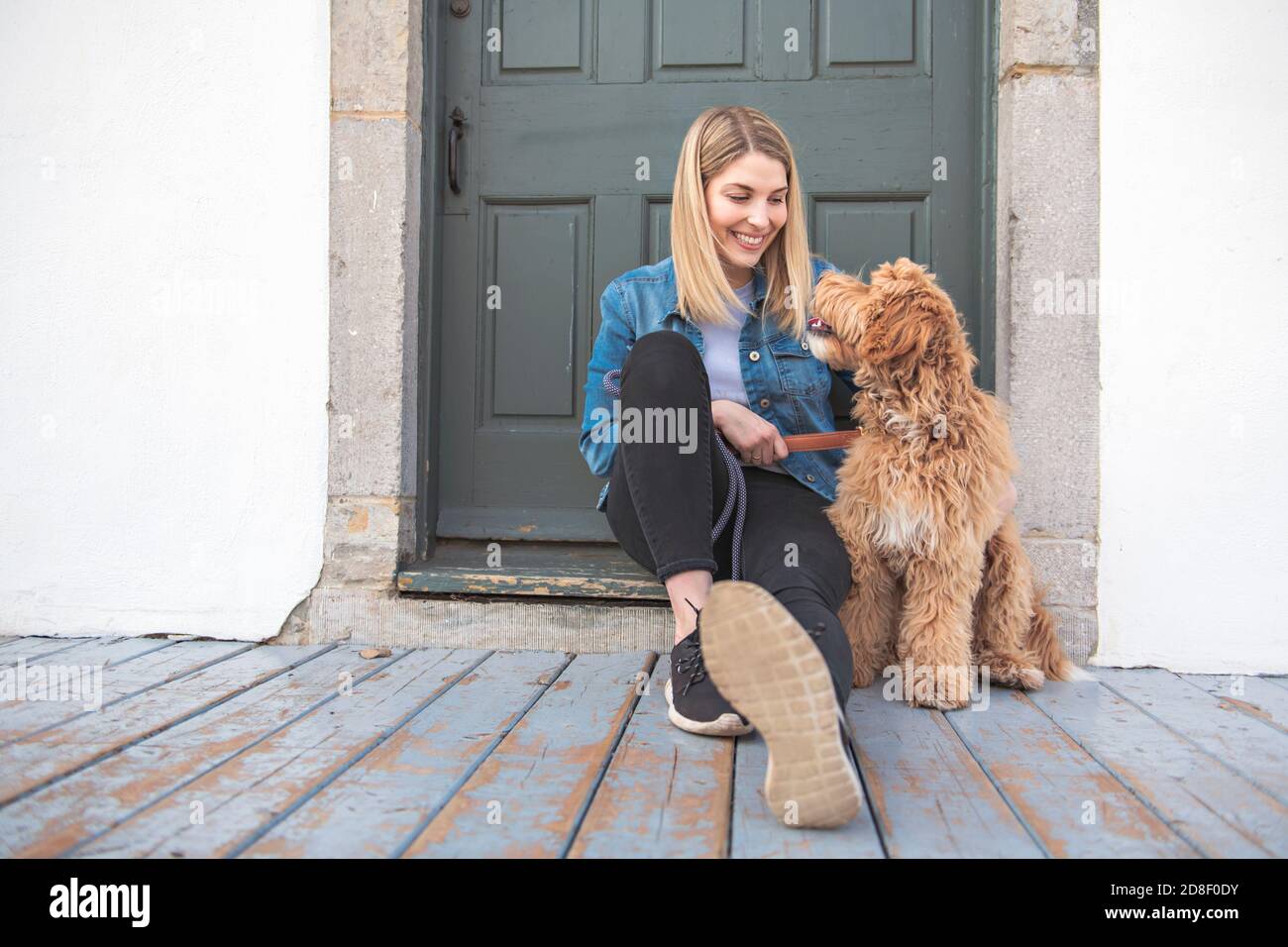 Labradoodle Dog and woman outside on balcony Stock Photo Alamy
